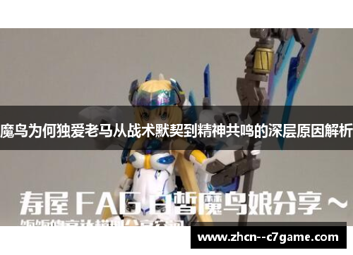 魔鸟为何独爱老马从战术默契到精神共鸣的深层原因解析